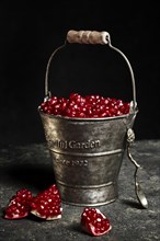 Metal bucket with pomegranate berries. Vintage style photo