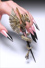 Creative design of nails on female hands. Art manicure. Photo taken in studio