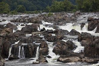 The Great Falls of the Potomac River are located at the fall line of the Potomac River