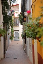 Idyllic alley Calle Manuel Cancho with floral decoration Moreno