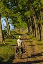 Man walking through the artifical planted tree line
