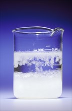 Crystallization of Supersaturated Solution of Sodium Acetate