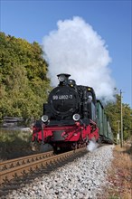 The steam train Rasender Roland