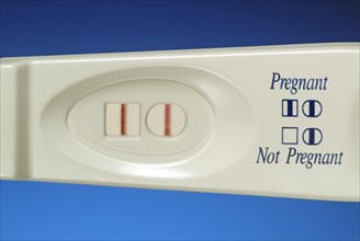 Home Pregnancy Test Positive Result