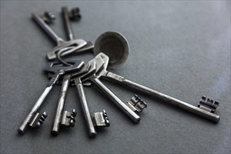 Key ring with keys for prison cells
