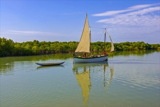 Little sailing boat shipping on a side arm