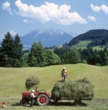 Hay harvest near Oberaudorf in front of the Kaisergebirge