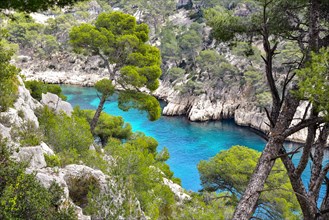 Calanque Port Pin near Cassis on the Cote d'Azur in Provence