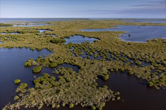 Everglades National Park is a national park in the U.S. state of Florida