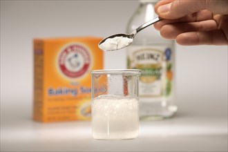 Baking Soda Reacting with Vinegar