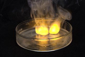 Sodium Reacting with Water