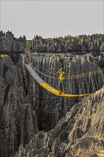 Man standing on a hanging bridge over the Tsingys in the Unesco world heritage sight Tsingy de Bemaraha Strict Nature Reserve