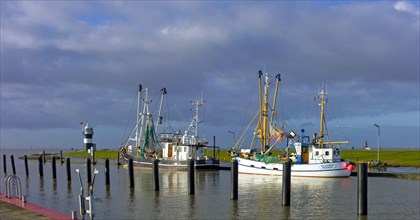Crab cutter in the harbour of Wremertief. Lighthouse Kleiner Preusse. County of Cuxhaven. Germany