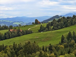 Alpine pasture and wooded slopes in the mountain landscape of the Emmental Alps in the Entlebuch UNESCO Biosphere Reserve