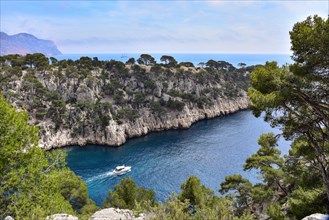 View of the Calanque Port Pin near Cassis on the Cote d'Azur in Provence