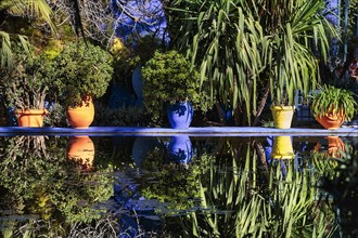 Different coloured flower pots in front of a blue house in the botanical garden Jardin Majorelle
