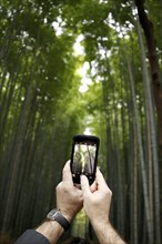 Tourist taking photos with smartphone in Arashiyama bamboo forest in Kyoto