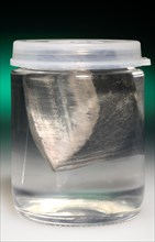 Elemental Lithium Floating in Oil