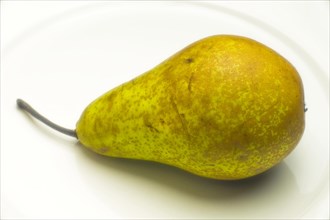 Single pear on a white plate