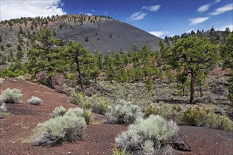 Crater National Monument is located north of Flagstaff in U. S. State of Arizona. The date of the eruptions that formed the 340-meter-high cone