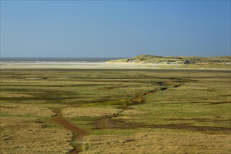 View of landscape with mudflats and dunes