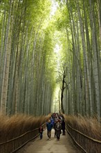 Tourists walking in the Arashiyama bamboo forest in Kyoto