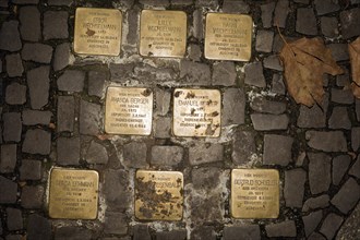 Soiled stumbling stones by Cologne artist Gunter Demnig commemorating murdered Jewish fellow citizens by the Nazi regime in the Third Reich