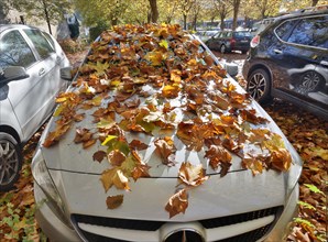 Autumn coloured leaves cover a car in a public car park