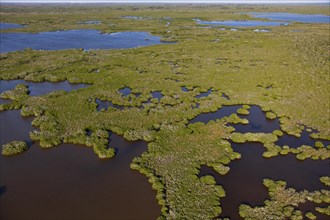 Everglades National Park is a national park in the U.S. state of Florida. The largest subtropical wilderness in the United States