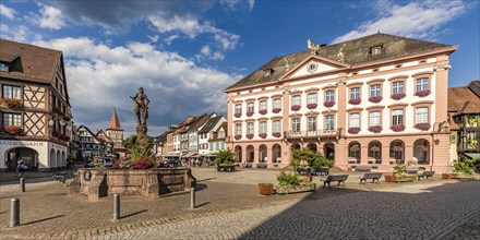 Market fountain and historic town hall in Gengenbach