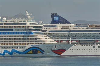 Two huge cruise ships in a row