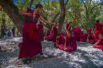 Young monks at their daily discussion round in the Sagatemple