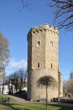 Historic Wolf Tower