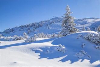 Winter landscape on the Kammerkoer plateau
