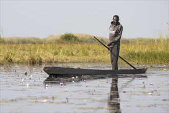 Fisherman in a dugout canoe