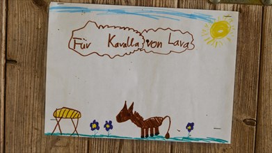Child's drawing of a donkey