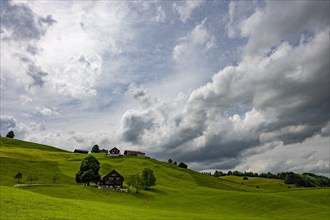 Farms in hilly landscape