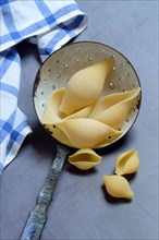 Conchiglione and small conchiglie with sieve ladle