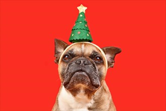 Cute French Bulldog dog wearing Christmas tree headband on red background