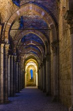 Side aisle of the ruined church of San Galgano Abbey in the evening light
