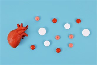 Heart organ model next to pills on blue background. Concept for heart diseases