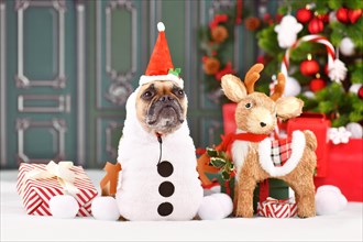 Funny French Bulldog wearing Christmas snowman costume and Santa hat in front of seasonal decoration