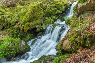 Fresh and beautiful waterfalls in a mountain stream in spring. La Serva