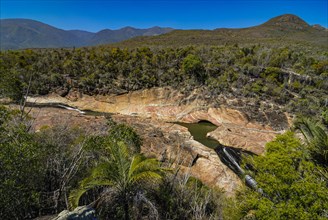 A view over the transitional forest of Andohahela National Park