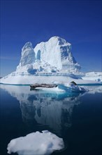 Icebergs reflected in a fjord