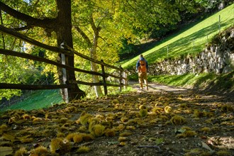 Hikers on the Chestnut Experience Trail