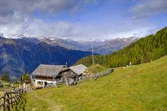 Reseeger Alm