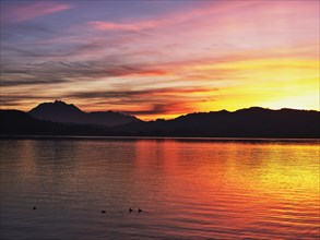 Sunset on Lake Zug