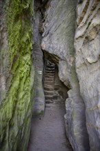 Steep stairs between the Prachov rocks