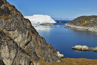 Gigantic icebergs in the ice fjord
